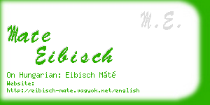 mate eibisch business card